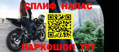 прущие грибы Туймазы