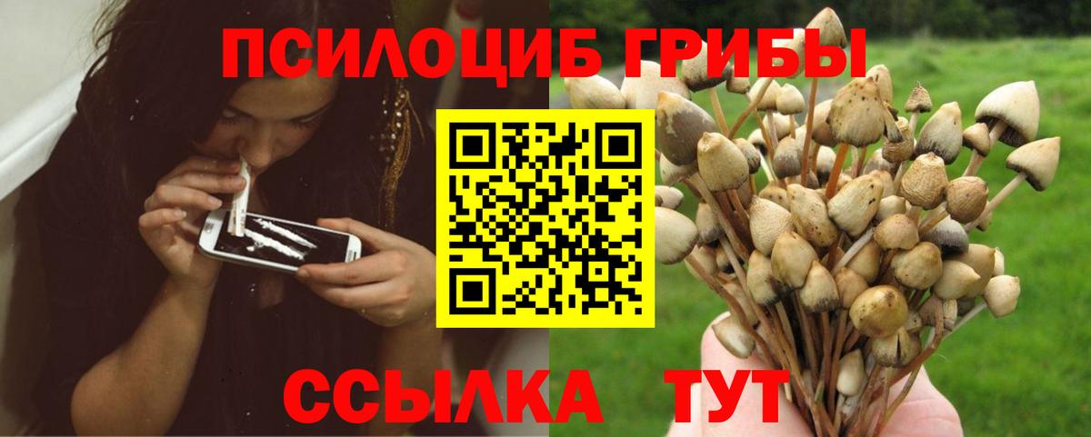 Галлюциногенные грибы прущие грибы Обнинск